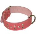 BBD Spiked Studded Collar 1-1/2"  X 18"  Pink British By Design